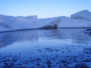 Wall Mural - Slush on the seashore