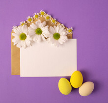 Greeting Card Concept For Valentine's Day, Wedding Or Mother's Day, Women's Day. Open Envelope With Blank Sheet Of Paper And Chamomile On Purple. Happy Easter