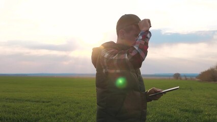 Wall Mural - eco smart farming a concept silhouette sunset worker studies agriculture. man farmer red neck with a digital tablet walks on lifestyle a green field. male worker studies winter green wheat crops works