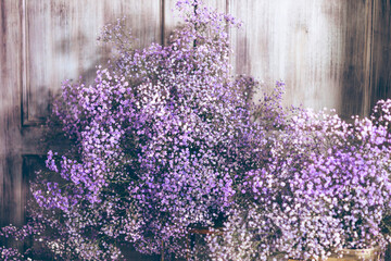 blurred background of lilac tones very peri color of the year 2022 purple gypsophila flowers, vintage decor in retro loft style room, celebrating Valentines day