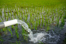 Irrigation Of Rice Fields Using Pump Wells With The Technique Of Pumping Water From The Ground To Flow Into The Rice Fields. The Pumping Station Where Water Is Pumped From A Irrigation Canal.
