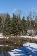 Winter Scenery at Whitemud Park, Edmonton, AB