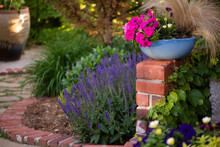 Turquoise Pot With Pink Flowers On Brick Wall In Garden