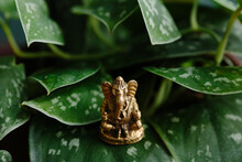 Ganesha In The Foliage