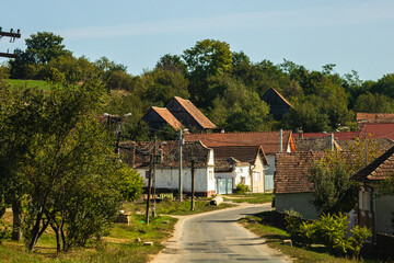 Wall Mural - View of picturesque village Viscri in Romania. Painted traditional old houses in medieval Saxon village of Viscri, Romania, 2021