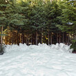 © Shava Cueva/Stocksy - horizontal pine trees with snow covered floor