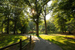 © Shava Cueva/Stocksy - The path of a green park with a lot of trees
