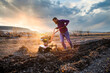 organic farming man cultivates the ground at sunset with a tiller  preparing the soil for sowing