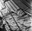 © Zeta Fernández/Stocksy - broken glass window on the floor