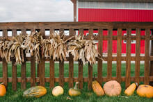 Fall Decorated Fence