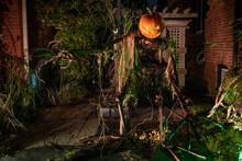 Scary Halloween Jack-O-Lantern Creature