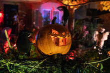 Pumpkin Patch Scary Halloween Jack-O-Lantern Scarecrow