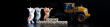 Toy kittens rally against the sanctions aimed at ordinary citizens. Stop sanctions! Give people, stockers and contributors, the opportunity to earn. Web banner