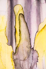 Abstract Art. A Detail From An Alcohol Ink Painting. 