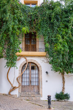Entrance Of A House With A Green Climbing Plant.