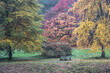 © Travelpix/Stocksy - Colours and Textures of Autumn. Winkworth Arboretum. UK
