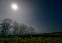 Orion And Full Moon On A Foggy Night At Kirkby Stephen