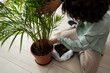 © Mauro Grigollo/Stocksy - Black woman caring for plants