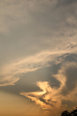 Wall Mural - Vanilla sky with cloud and sunlight above trees before sunset, Natural background