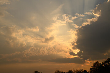 Wall Mural - Vanilla sky with cloud and sunlight above trees before sunset, Natural background