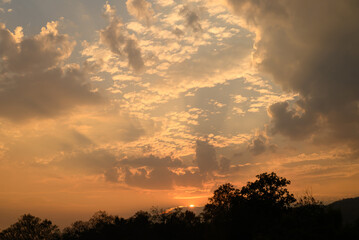 Wall Mural - Vanilla sky with cloud and sunlight above trees before sunset, Natural background