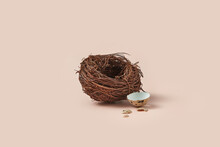 Broken Quail Egg Lying Near Empty Bird Nest