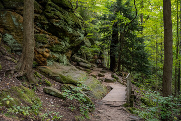 Wall Mural - Small Bridge At The Base of The Ledges