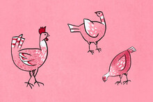 Freerange Chickens Illustration