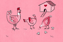Freerange Chickens And Cock Illustration