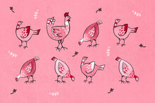 Freerange Chickens Illustration