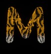 Furry Tiger Themed Font Letter M