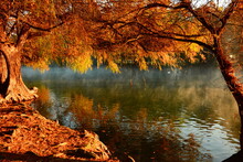Camecuaro Lake In Winter-Autumn 