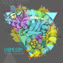 Hand Drawing Chameleon Illustration On Watercolor Background. Graphic Art. Vector Illustration