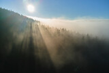 Fototapeta Na ścianę - Aerial view of foggy evening over dark pine forest trees at bright sunset. Amazingl scenery of wild mountain woodland at dusk