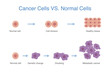Compare between devenlop of healthy cell and cancer cell. Medical and science diagram about abnormal cells grow.