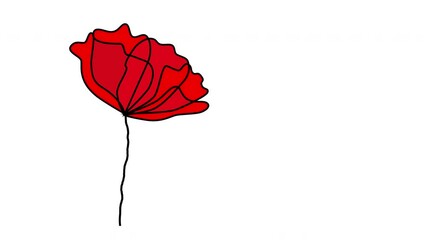 Wall Mural - Red poppy flower. Seamless loop animation.