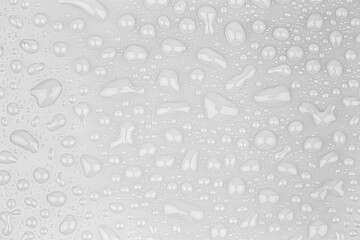 Wall Mural - abstract water drops on a white background