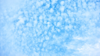 Wall Mural - blue sky with many small clouds