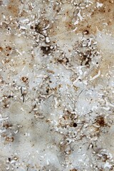 Wall Mural - unevenly textured surface of a marbled stone tile