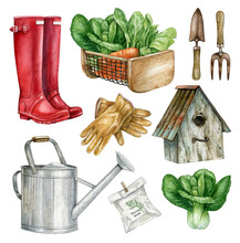 Watercolor Garden Tools, Country Farm Gardening, Farmhouse Decor Clipart, Vegetable,flower, Vintage Rusty Element, Watering Can, Red Rubber, Birdhouse.