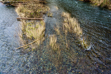 River Shallows Grass 3