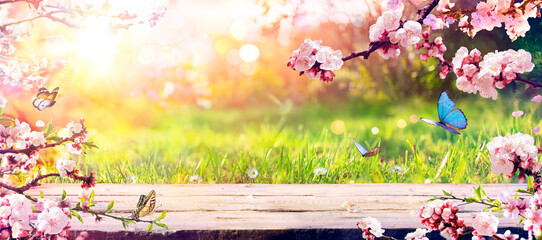 Wall Mural - spring table - blossoms in sunny garden with abstract defocused lights