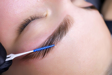 Wall Mural - combing the hairs in the eyebrows with a brush after the procedure of coloring and laminating the eyebrows