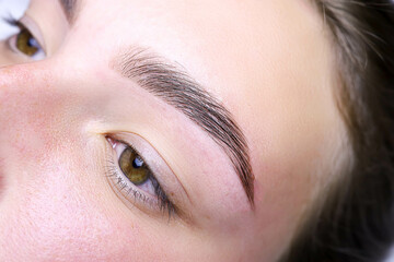 finished work after the procedure of lamination of eyebrows and correction and coloring