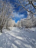 Fototapeta Na ścianę - Zimowe, piękne  mroźne pejzaże w okolicy góry Ślęża. Niebieskie niebo i zamarznięte drzewa.