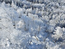 Zimowe, Piękne  Mroźne Pejzaże W Okolicy Góry Ślęża. Niebieskie Niebo I Zamarznięte Drzewa.