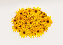 Warm And Bright Yellow Summer Flowers Pop Out Of White Paper.