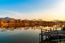 A Pier Over The Wetland In Hong Kong Mai Po Nature Reserve With Sunset.