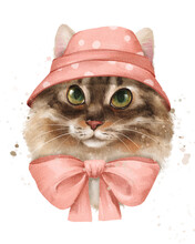 Cute Cat In Hat. Animal Illustration In Watercolor Style.