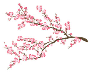 blooming sakura branch with pink flowers, realistic vector illustration.